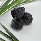 Musfik | Ajwa Medina Dates